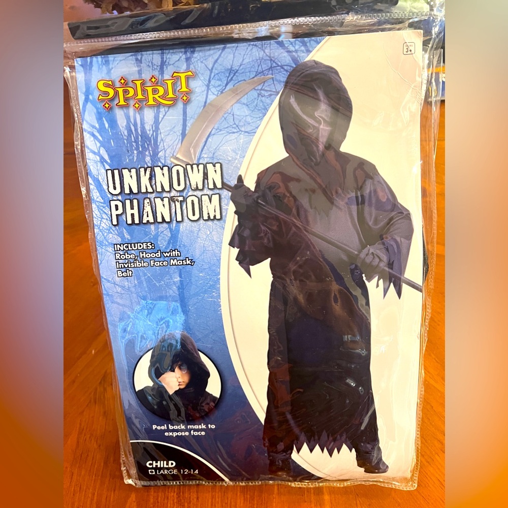 Halloween Costume - Phantom